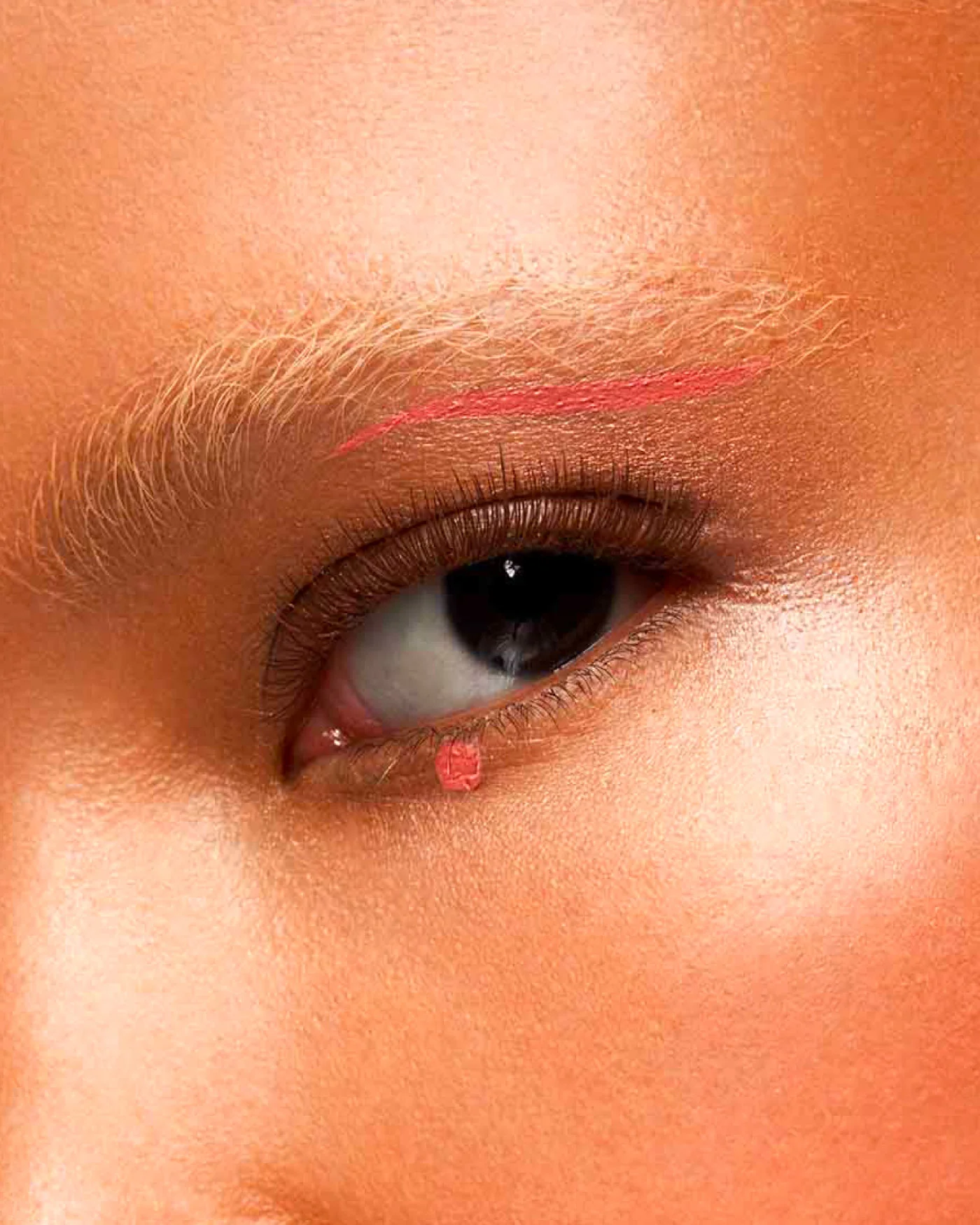 Immagine prodotto 13